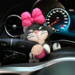 اکسسوری پیشی